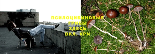 меф Липки