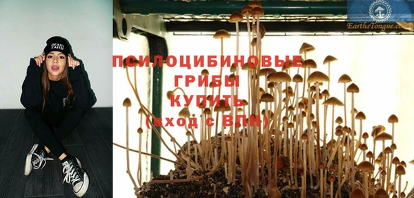 экстази Лиски